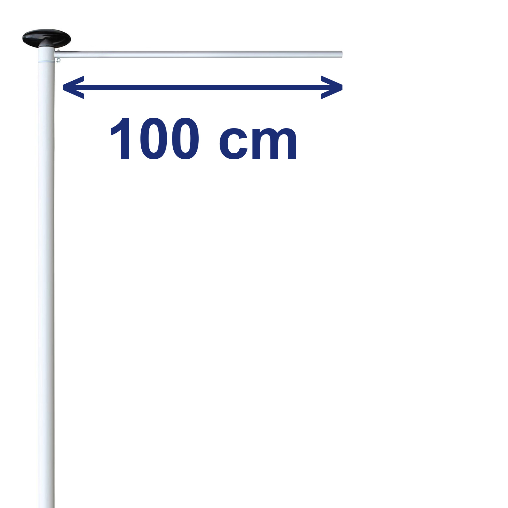 100 cm
