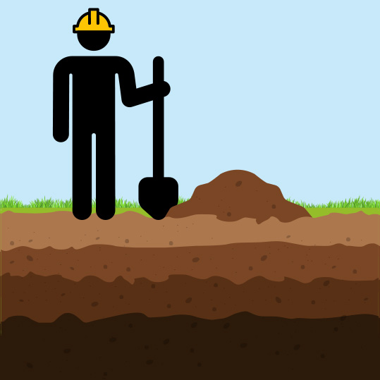 Inclusief professionele plaatsing