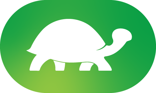 2–3 weken