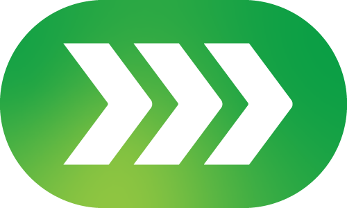 2–3 werkdagen